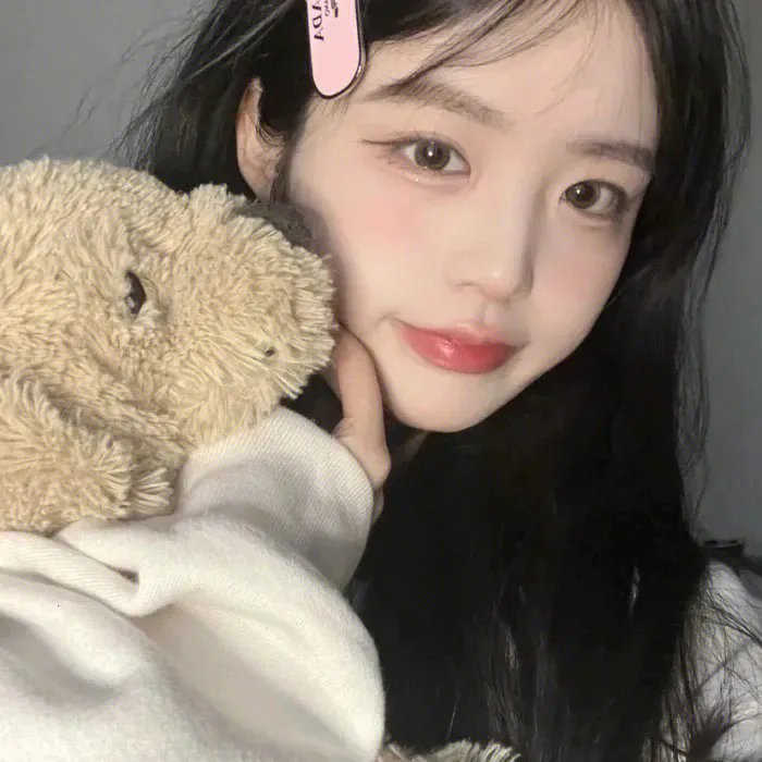 战鸽总动员